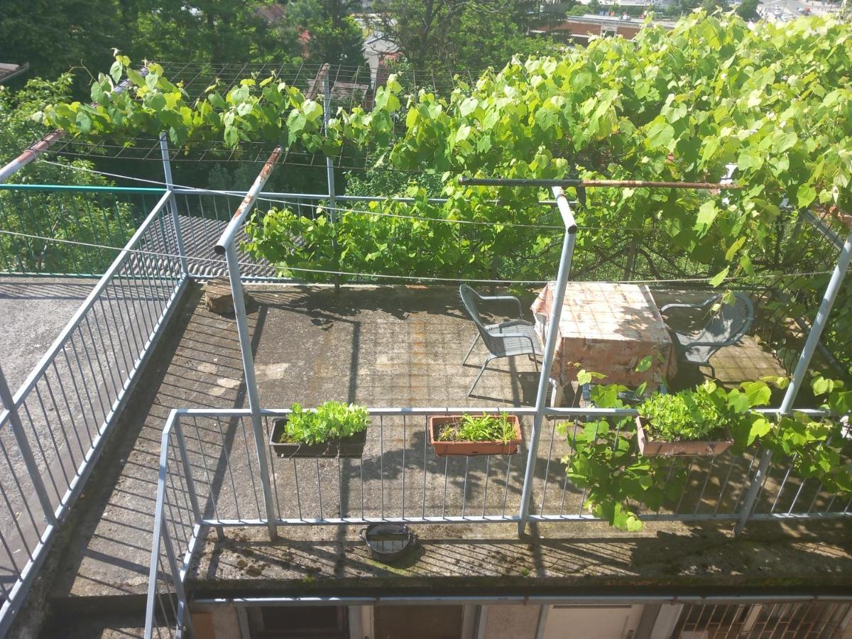 Apartmans Adi Saraybosna Dış mekan fotoğraf